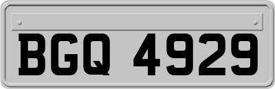 BGQ4929
