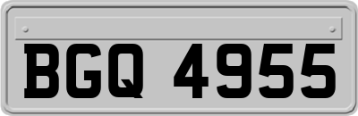 BGQ4955
