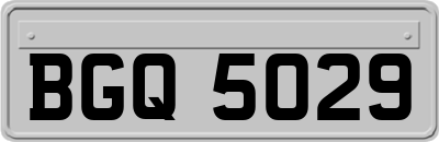 BGQ5029