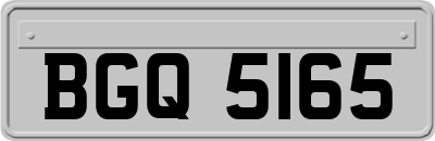 BGQ5165