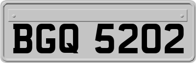 BGQ5202