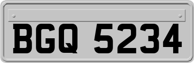 BGQ5234