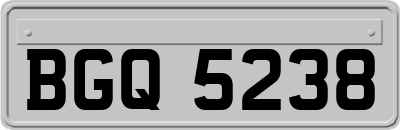 BGQ5238