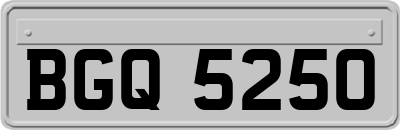BGQ5250