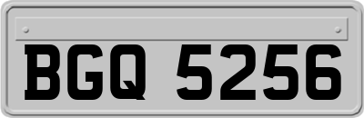 BGQ5256