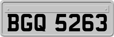 BGQ5263