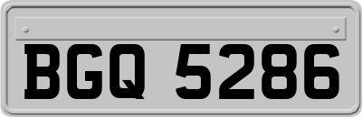BGQ5286