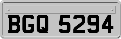 BGQ5294