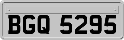 BGQ5295