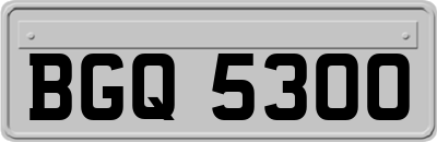 BGQ5300