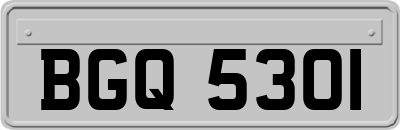 BGQ5301