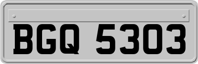 BGQ5303