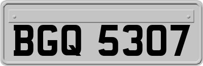 BGQ5307
