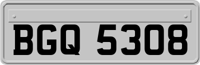 BGQ5308