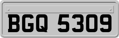 BGQ5309