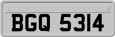 BGQ5314