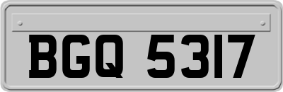 BGQ5317