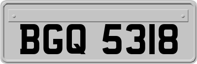 BGQ5318