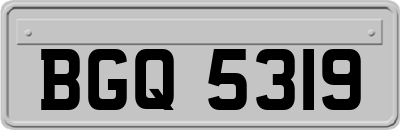 BGQ5319