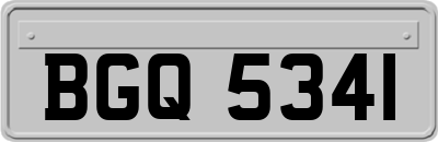BGQ5341