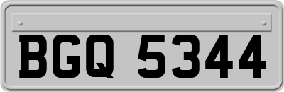 BGQ5344