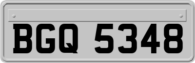 BGQ5348