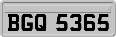 BGQ5365