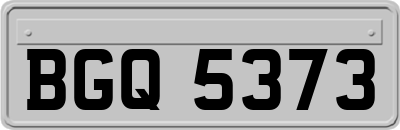 BGQ5373