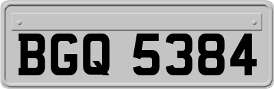 BGQ5384