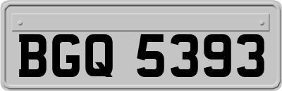 BGQ5393