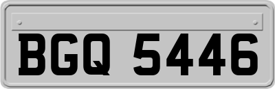 BGQ5446