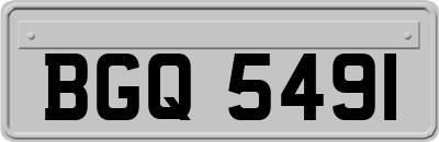 BGQ5491
