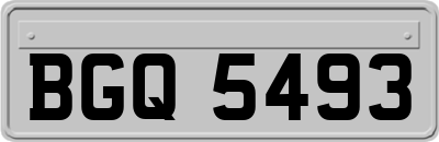 BGQ5493