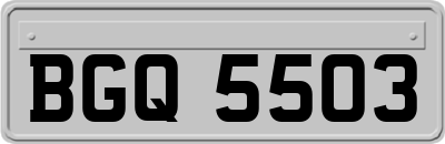 BGQ5503