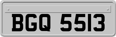 BGQ5513
