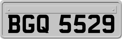 BGQ5529