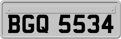 BGQ5534