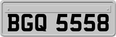 BGQ5558
