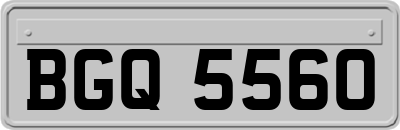 BGQ5560