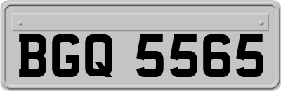 BGQ5565