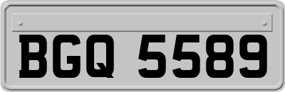 BGQ5589
