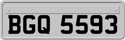 BGQ5593