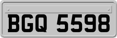 BGQ5598