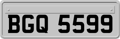 BGQ5599