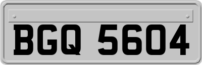 BGQ5604