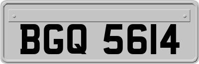 BGQ5614