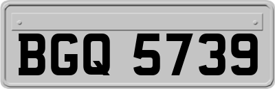 BGQ5739