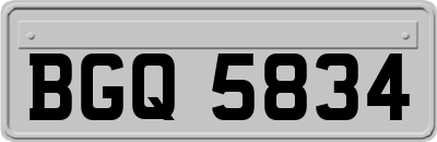 BGQ5834