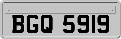 BGQ5919