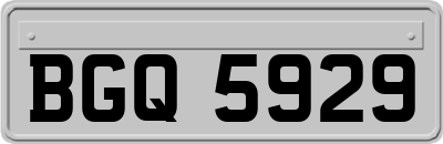 BGQ5929